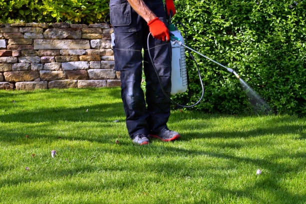 Best Outdoor Pest Control  in Edgewood, WA